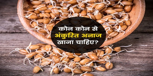 अंकुरित दानों का सेवन सुबह नाश्ते के समय ही करना चाहिये।