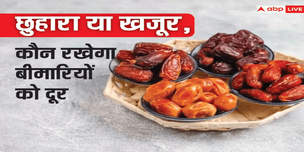 छुहारा और खजूर एक ही पेड़ की देन है।