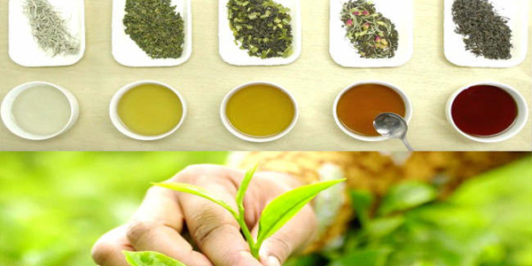 सर दर्द से राहत के लिए करें ये घरेलु उपचार