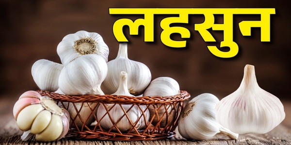 लहसुन की शक्ति