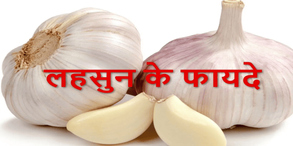 लहसुन के फायदे एवम उपयोग