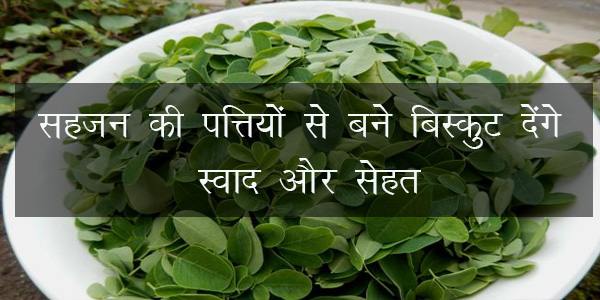 सहजन की पत्तियों से बने बिस्कुट देंगे स्वाद और सेहत