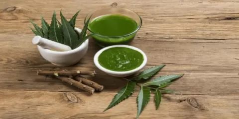 नीम – एक चमत्कारिक औषधि