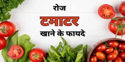 फायदेमंद टमाटर में है अनेकों गुण