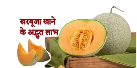 खरबूजे खाकर फिट रहिये