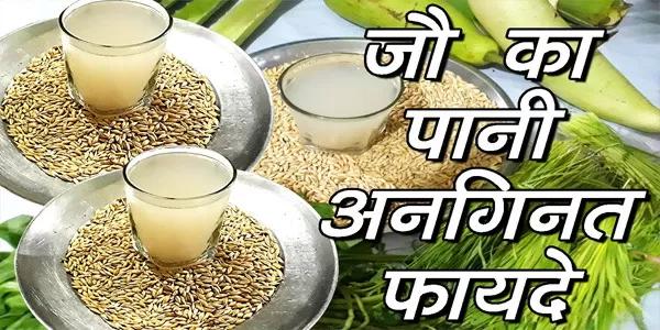 जौ का पानी पीने के फायदे जौ का पानी पीने के फायदे