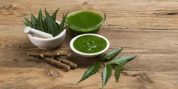 नीम – एक चमत्कारिक औषधि नीम – एक चमत्कारिक औषधि