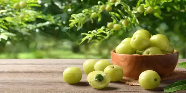 आंवला खाये, निरोगी हो जाए आंवला खाये, निरोगी हो जाए