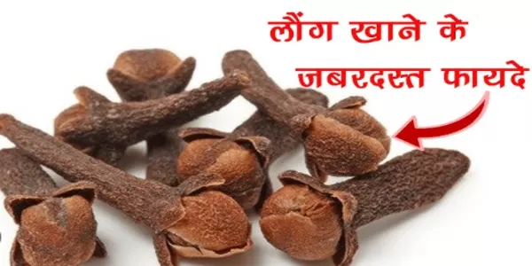 लौंग के फायदे लौंग के फायदे