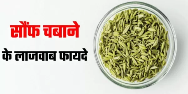 कितनी फायदेमंद है सौंफ कितनी फायदेमंद है सौंफ